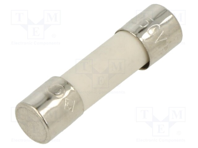 Fuse: fuse; time-lag; 250VAC; ceramic,cylindrical; brass; 215