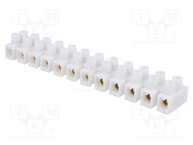Terminal block; screw terminal; ways: 12; 6mm2; terminals: 24; 400V