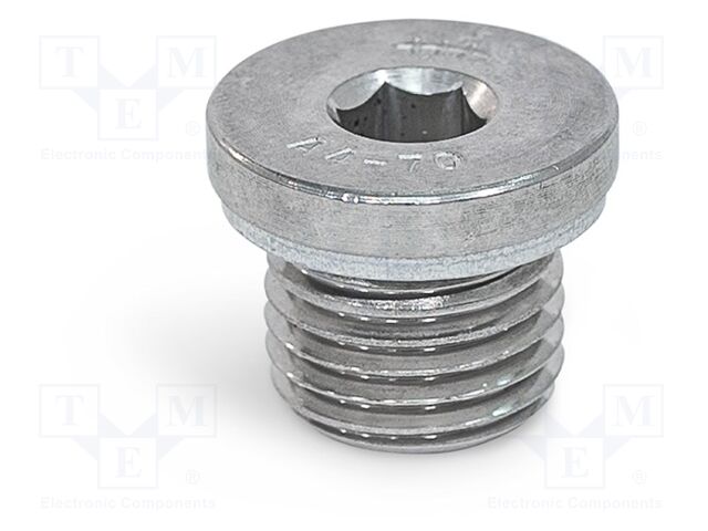 Hexagon head screw plug; with seal; Thread: G 1"; DIN 908