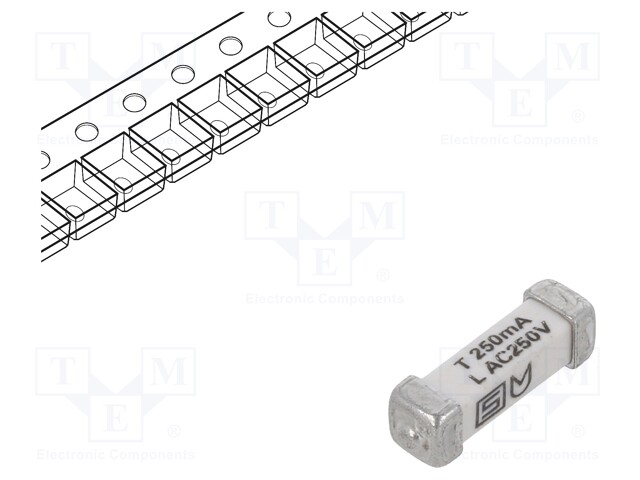 Fuse: fuse; time-lag; 250mA; 250VAC; 125VDC; SMD; ceramic; 3x10.1mm