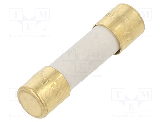 Fuse: fuse; time-lag; 2.5A; 250VAC; 300VDC; SMD; 5x20mm; copper