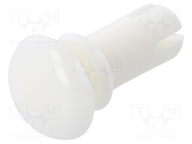 Rivet; polyamide; L.rivet: 10.5mm; Panel cutout diam: 5.1mm