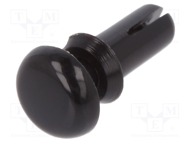 Rivet; polyamide; L.rivet: 5.5mm; Panel cutout diam: 2.7mm; UL94HB