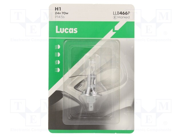 Filament lamp: automotive; P14,5s; transparent; 24V; 70W; LLB