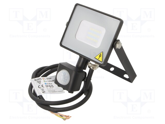 Lamp: LED flood light; 6400K; IP65; Body: black; 10W; Len: 1m; 800lm