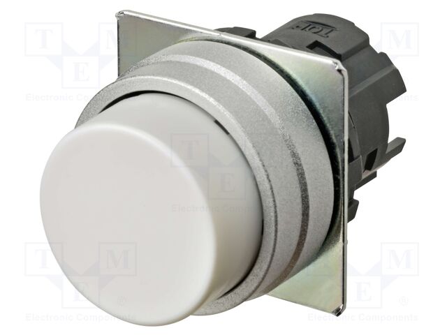 Switch: push-button; 22mm; Stabl.pos: 2; prominent; Pos: 2