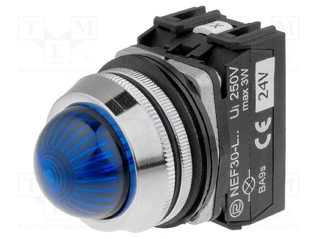 Control lamp; 30mm; NEF30; -15÷30°C; Illumin: LED,filament lamp