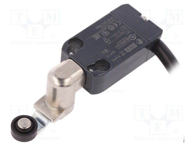 Limit switch; NO + NC; 10A; max.250VAC; max.250VDC; lead 2m; IP67