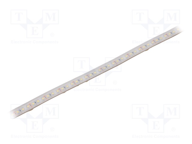 LED tape; white cold; 2835; 12V; LED/m: 120; 10mm; white PCB; IP65