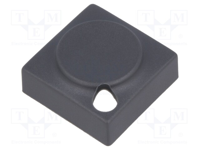 Button; rectangular; Application: 6425.4111,6425.4121,6425.4131