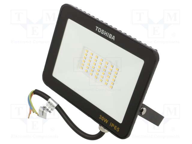 Lamp: LED flood light; 230VAC; 30W; cool white; 120°; 6500K; IP65