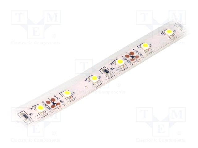 LED tape; white cold; LED/m: 60; SMD; 3528; 12V; 10mm; 120°; IP65