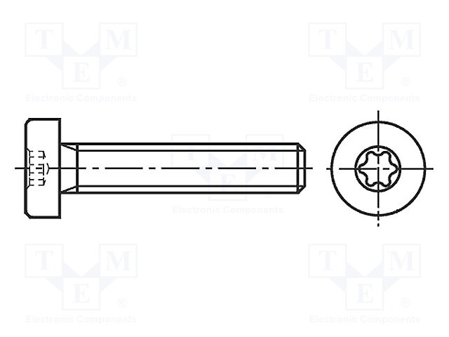 Screw; M2.5x5; 0.45; Head: cheese head; Torx®; TX08; ISO 14580