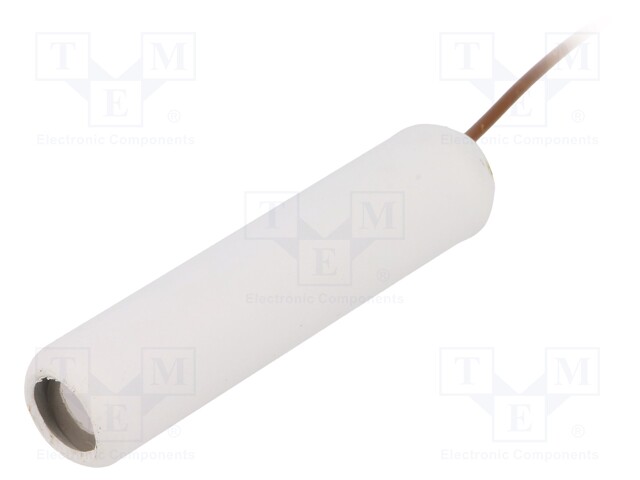 Accessories: sensor for fluid level controllers; max.80°C; 10m