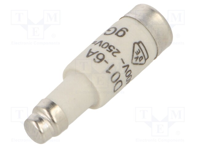 Fuse: fuse; gG,time-lag; 6A; 400VAC; 250VDC; D01