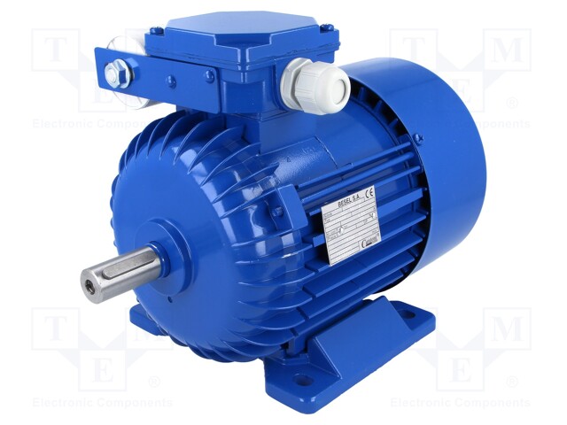 Motor: AC
