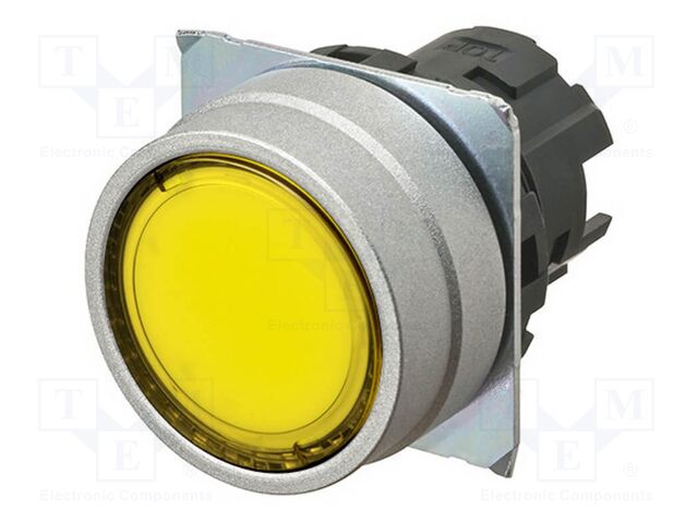 Switch: push-button; 22mm; Stabl.pos: 2; flat; Pos: 2