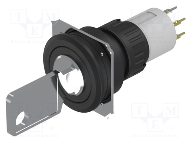 Switch: rotary with key; 22mm; Stabl.pos: 1; NO x2; Pos: 2; 51