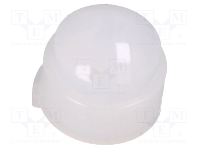 Fresnel lens; -25÷60°C; natural white; Detection: 95°x20°