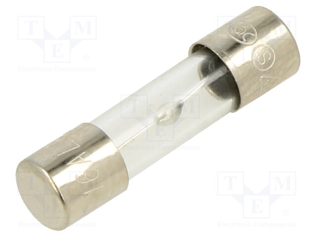 Fuse: fuse; 16A; 250VAC; glass; 20x5.2mm; brass; bulk; nickel plated