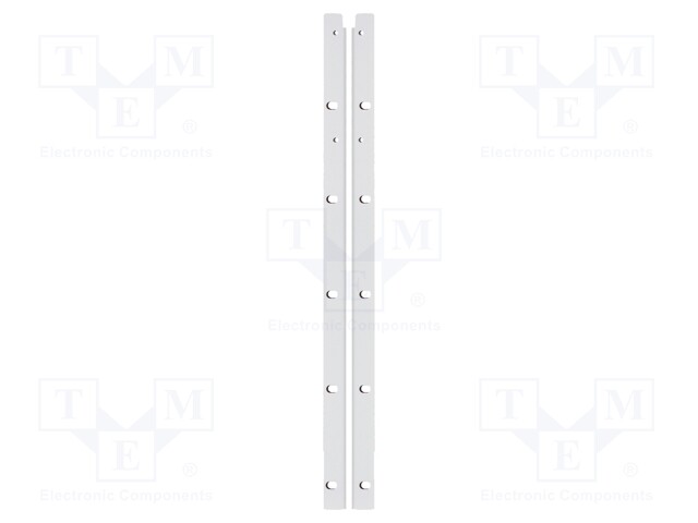 Rack mount