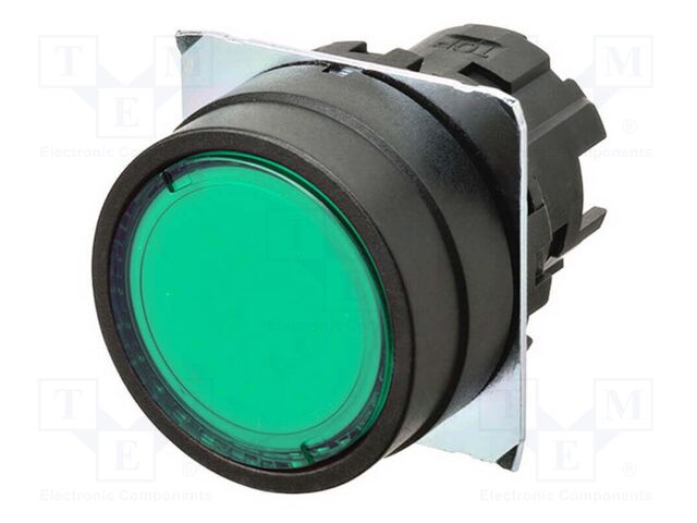 Switch: push-button; 22mm; Stabl.pos: 1; flat; Pos: 2
