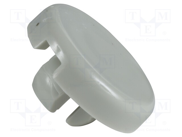 Water drain plug