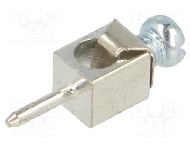 Terminal: screw terminal; THT,screw terminal; silver; straight