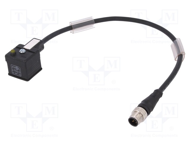 Adapter cable; DIN 43650 plug,M12 male; PIN: 3; IP67; 0.3m; 3A