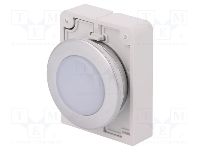 Control lamp; 30mm; RMQ-Titan; -25÷70°C; Illumin: M22-LED; Ø30.5mm