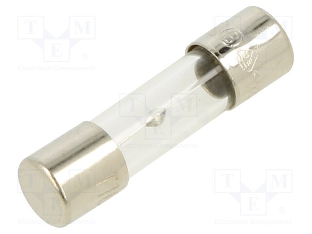 Fuse: fuse; 10A; 250VAC; glass; 20x5.2mm; brass; bulk; nickel plated