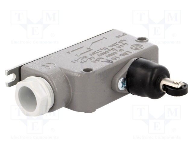 Limit switch; oblong plastic roller; SPDT; 6A; max.400VAC; IP56