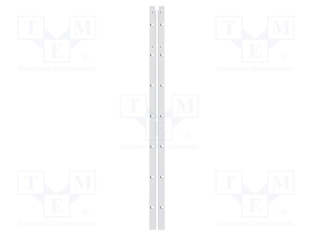 Rack mount