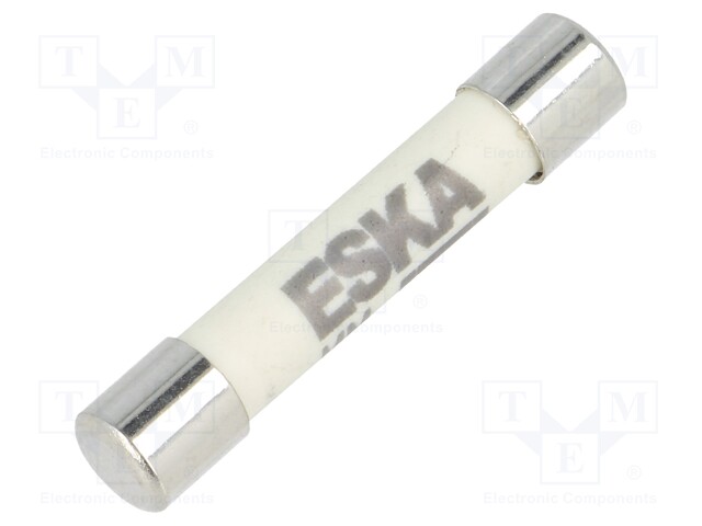 Fuse: fuse; ultra rapid; 125mA; 1kVAC; ceramic,cylindrical; brass