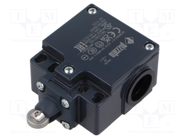 Limit switch