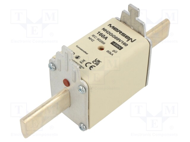Fuse: fuse; gG; 160A; 690VAC; 250VDC; ceramic,industrial; NH2