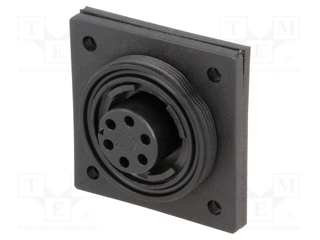 Connector: circular; socket; female; PIN: 6; Buccaneer Standard