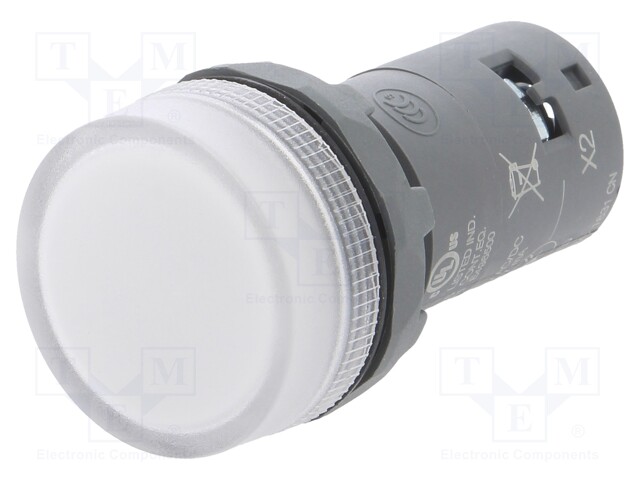 Control lamp; 22mm; CL2; -25÷70°C; Illumin: LED; Ø22mm; 48÷60VAC
