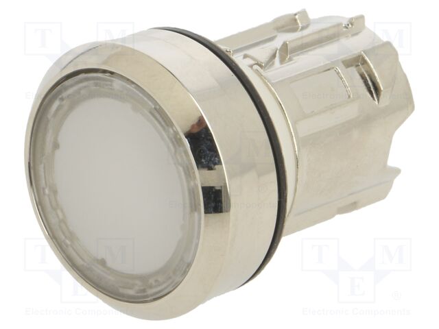 Switch: push-button; Stabl.pos: 2; 22mm; transparent; IP67; Pos: 2
