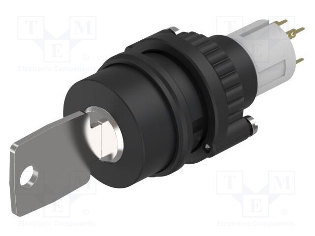 Switch: rotary with key; Stabl.pos: 1; NO x2; 14; Pos: 2