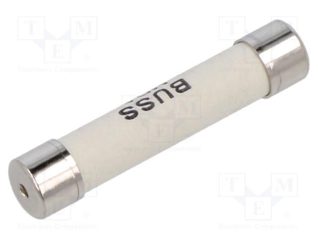 Fuse: fuse; time-lag; 10A; 250VAC; 125VDC; ceramic,cylindrical