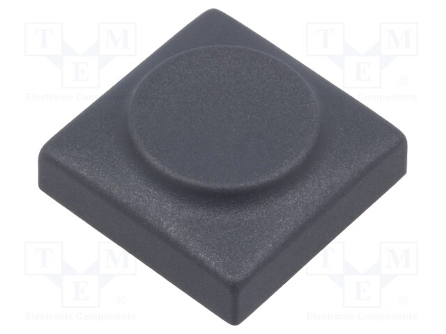 Button; rectangular; Application: 6425.0101,6425.1101; Mat: PA