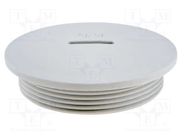 Stopper; PG48; IP54; Mat: polyamide; grey; Man.series: V-N-FS