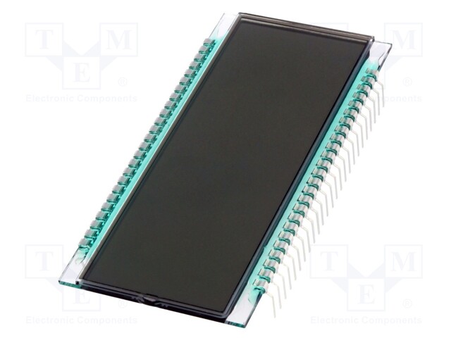 Display: LCD; 7-segment (digital); STN Positive; No.of dig: 5