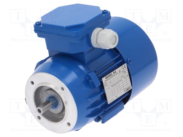 Motor: AC; 3-phase; 0.25kW; 230/400VAC; 2780rpm; 4.1kg; IP54