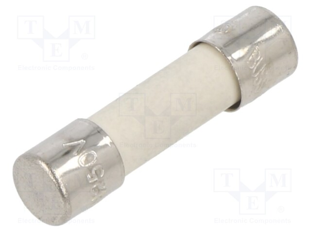 Fuse: fuse; time-lag; 2A; 250VAC; ceramic,cylindrical; 5x20mm; S505