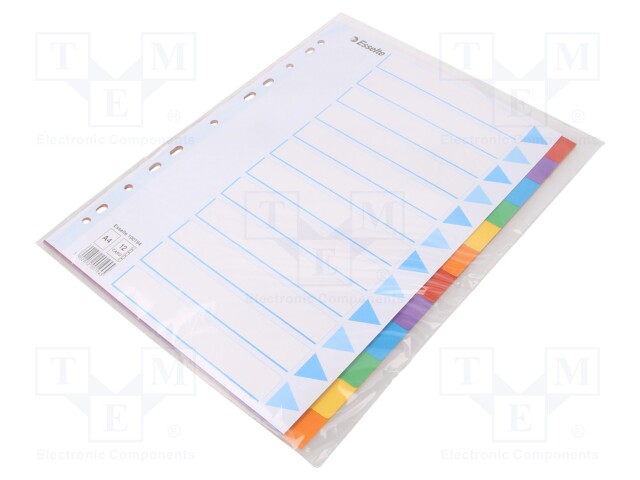 Cardboard file dividers