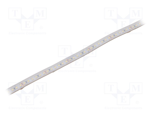 LED tape; white cold; 2835; 24V; LED/m: 120; 10mm; white PCB; IP65