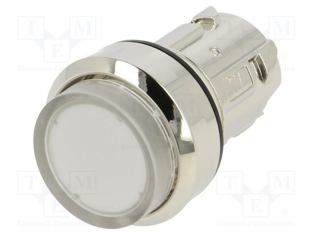 Switch: push-button; Stabl.pos: 1; 22mm; transparent; IP67; Pos: 2
