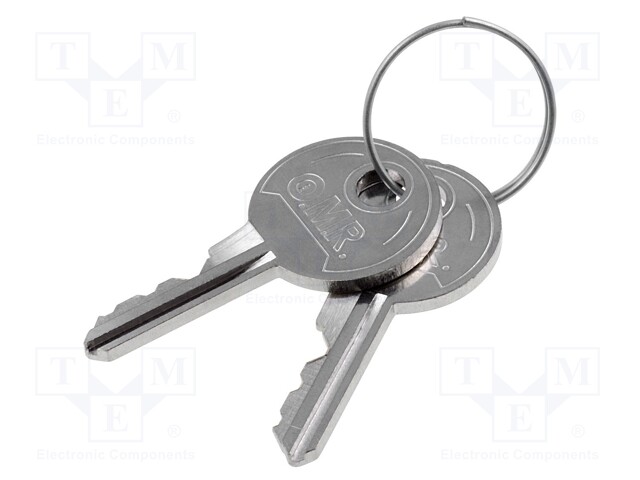 Safety switch accessories: spare keys; Series: FS